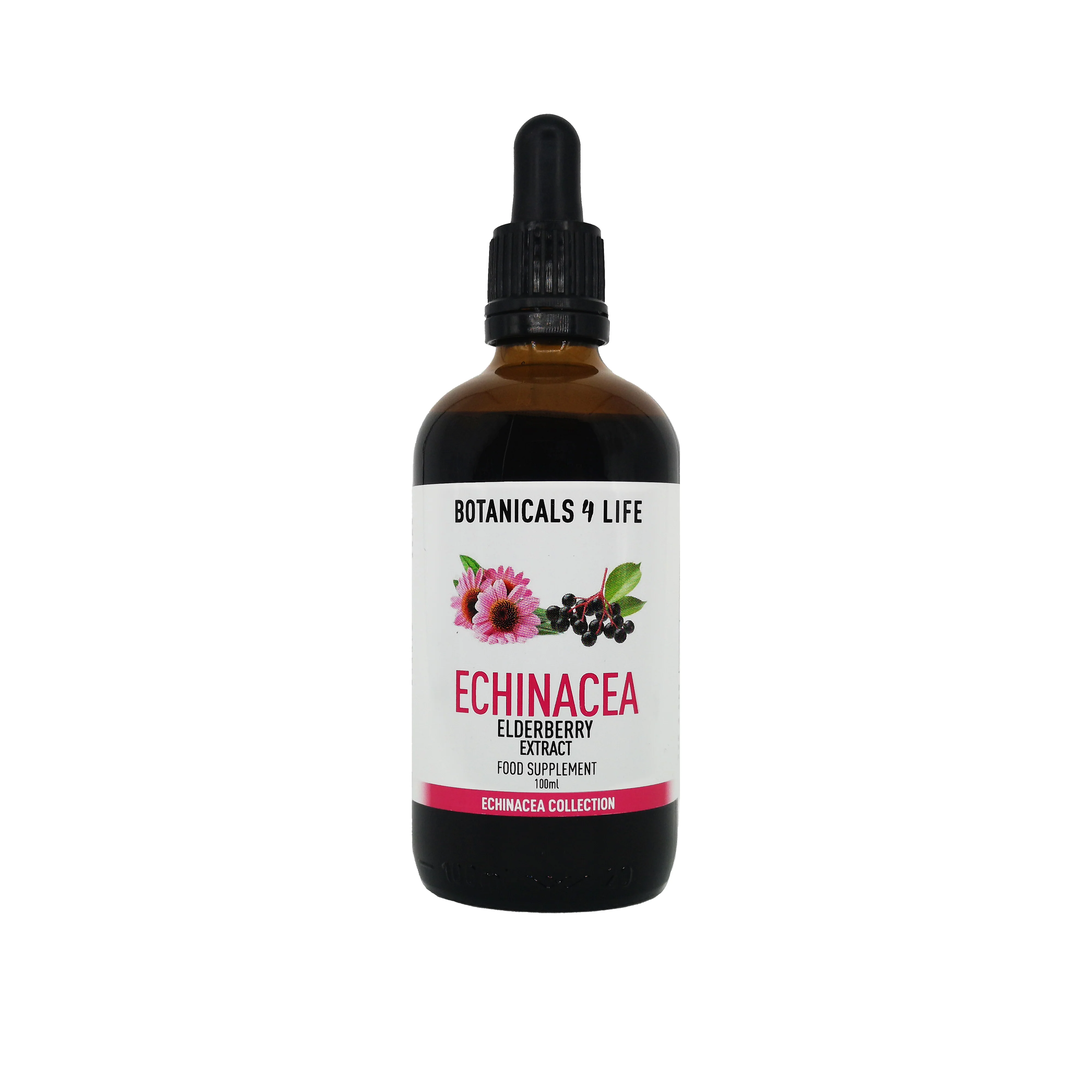 Echinacea Elderberry Extract 100ml