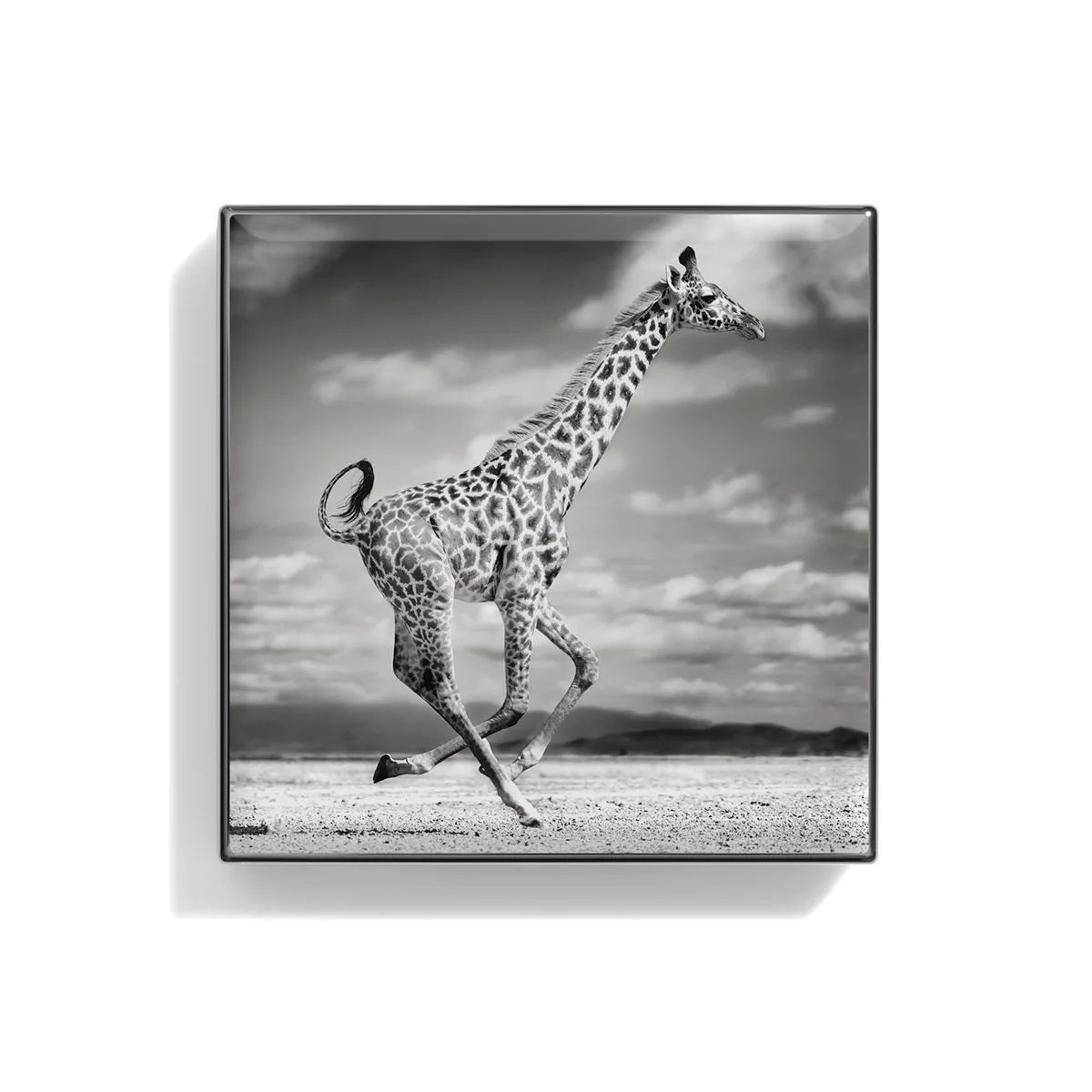 Luminescent Eye Shade Giraffe 2g