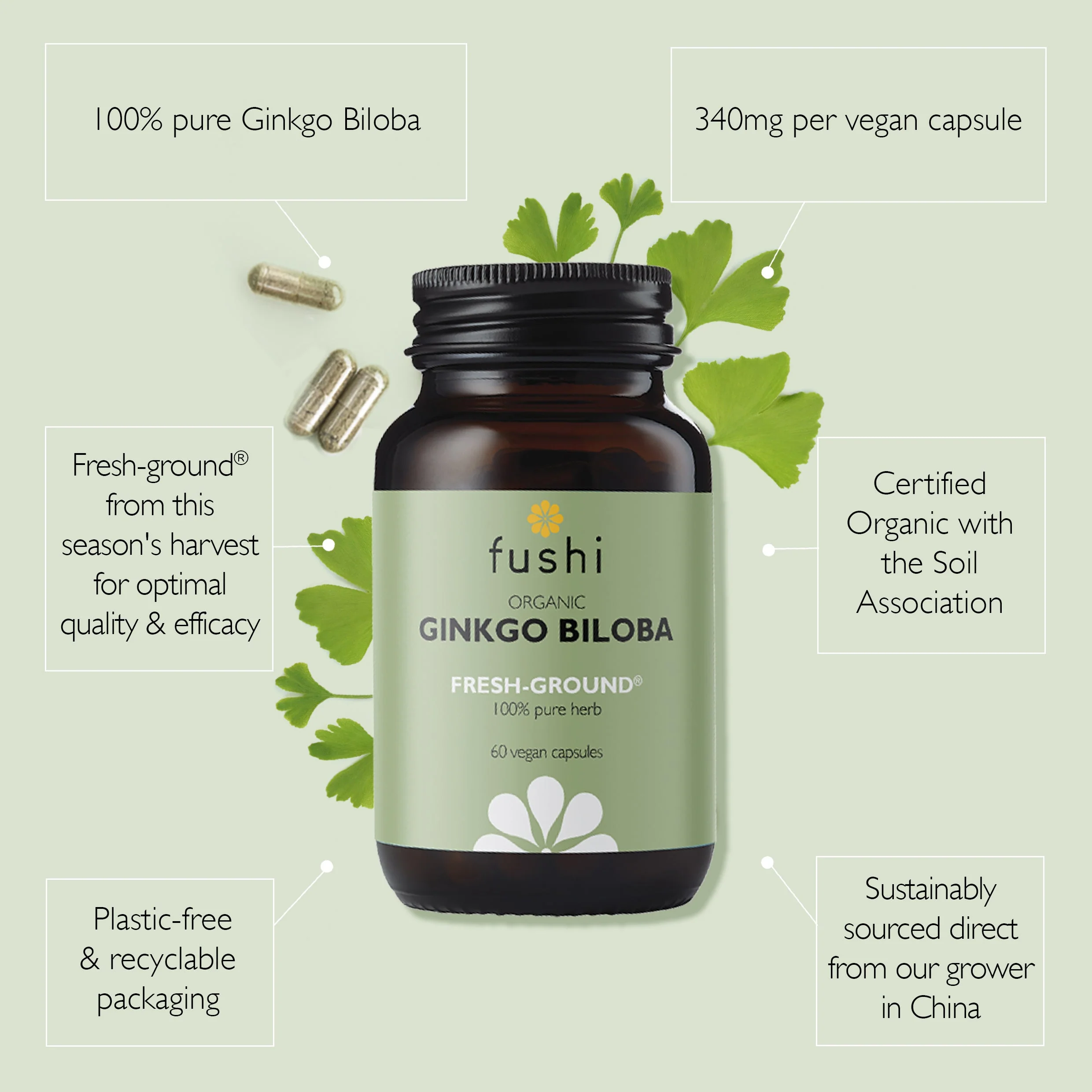 Ginkgo Biloba 60 capsules - Image 2