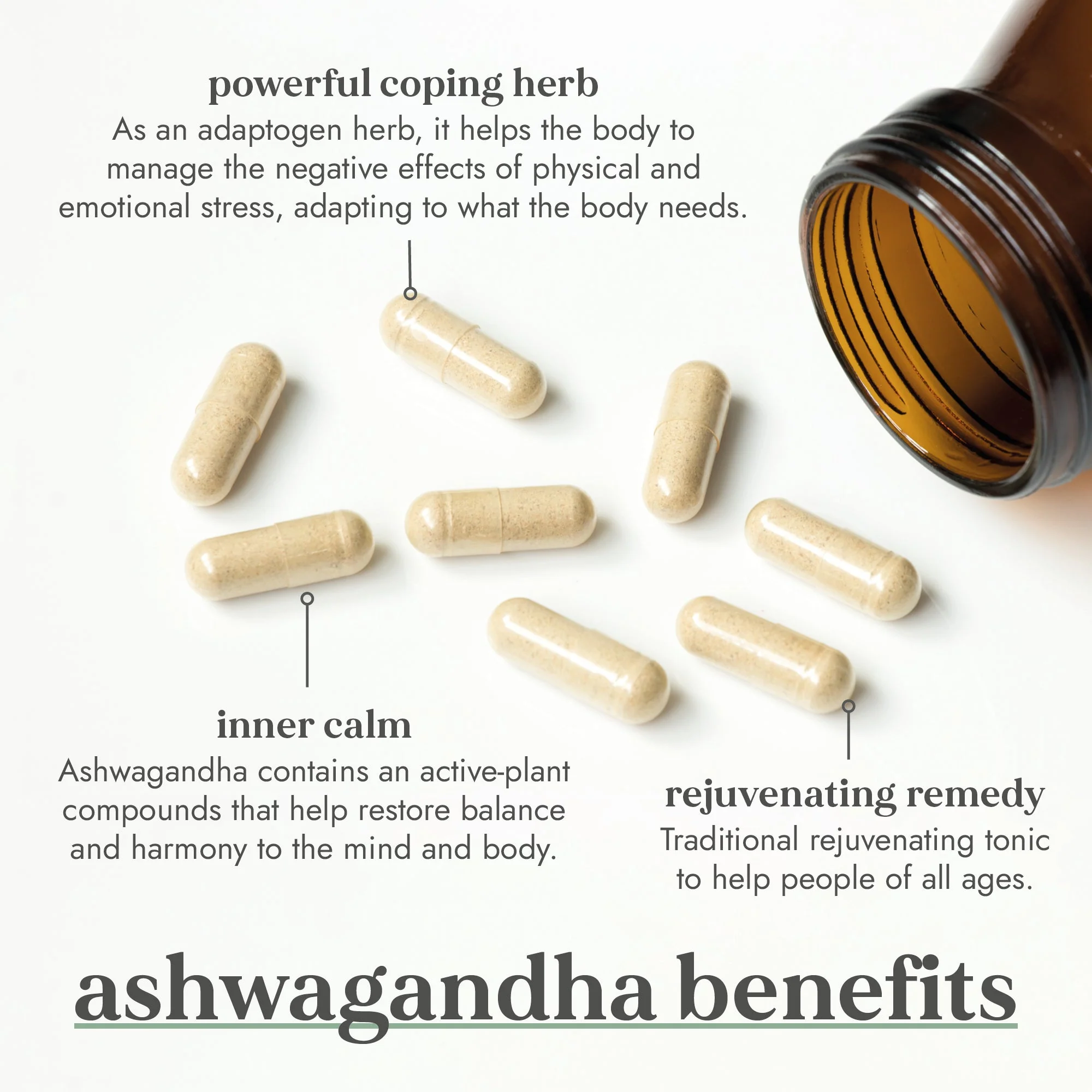 Organic Ashwagandha 60 capsules - Image 2