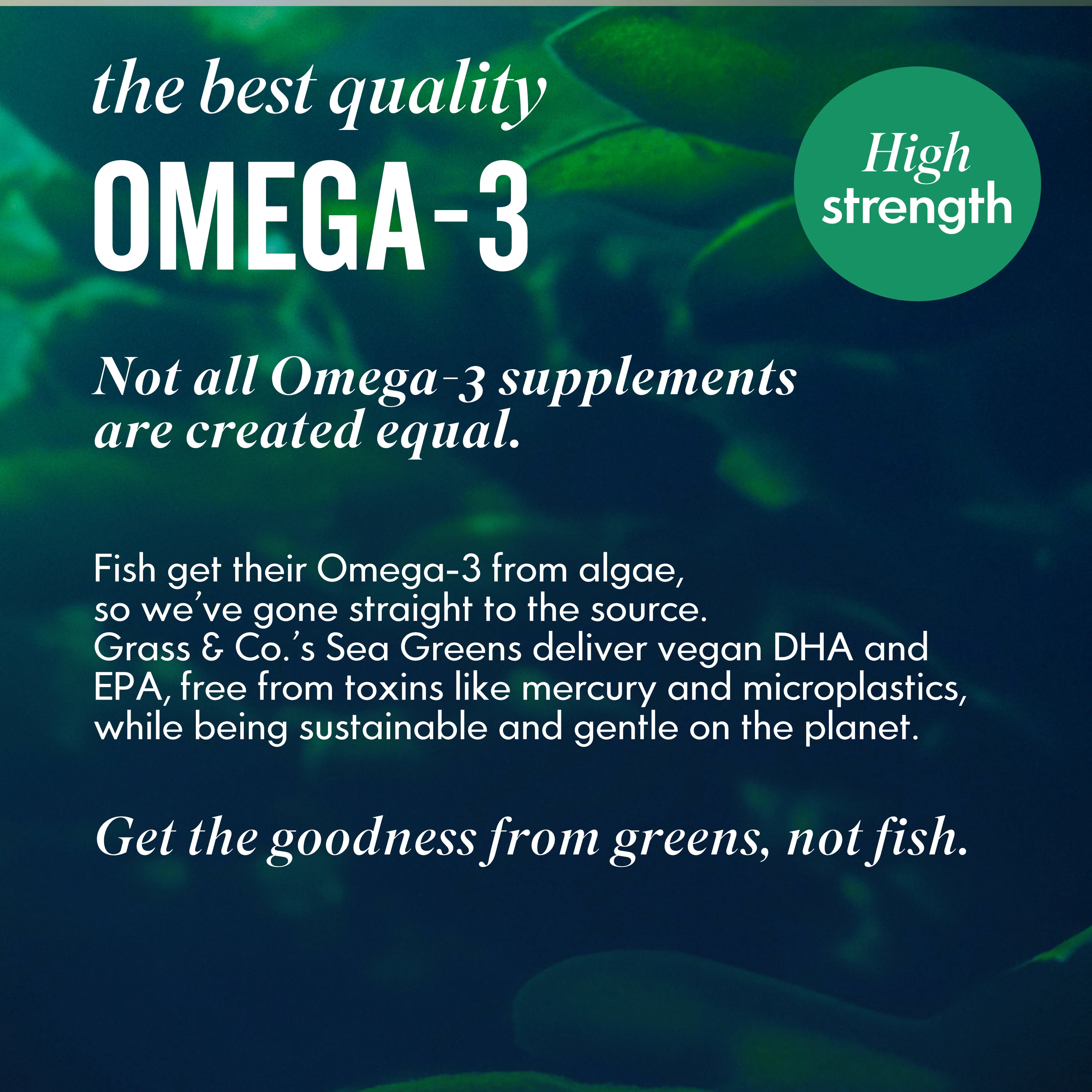 Boost Vegan Omega Sea Greens For Men Capsules 30 Capsule - Image 8