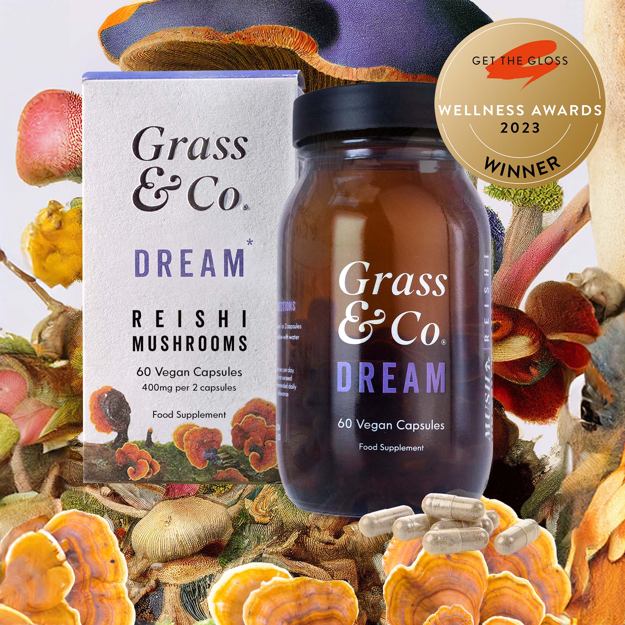 Dream Reishi Mushrooms With Magnesium + Sage 60 Capsule - Image 2