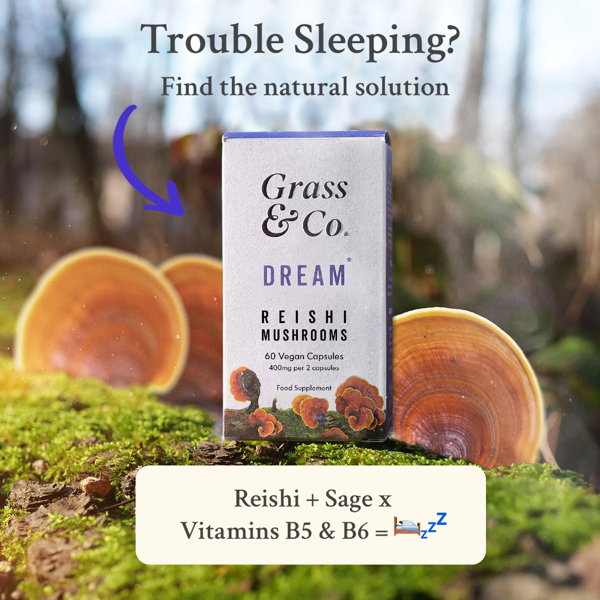 Dream Reishi Mushrooms With Magnesium + Sage 60 Capsule - Image 4