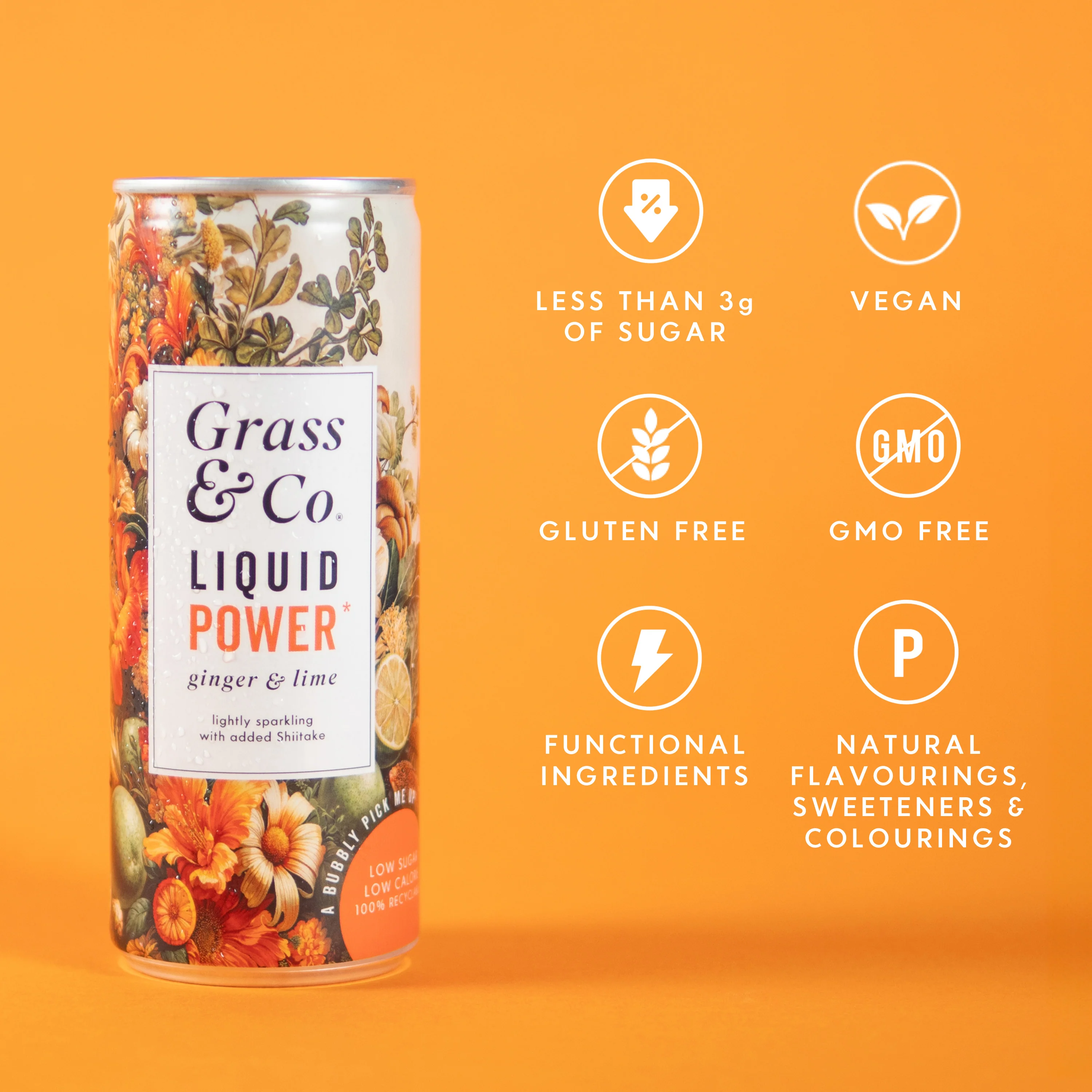 Liquid Power Ginger, Lime & Shiitake Nootropic Drink 250ml - Image 4