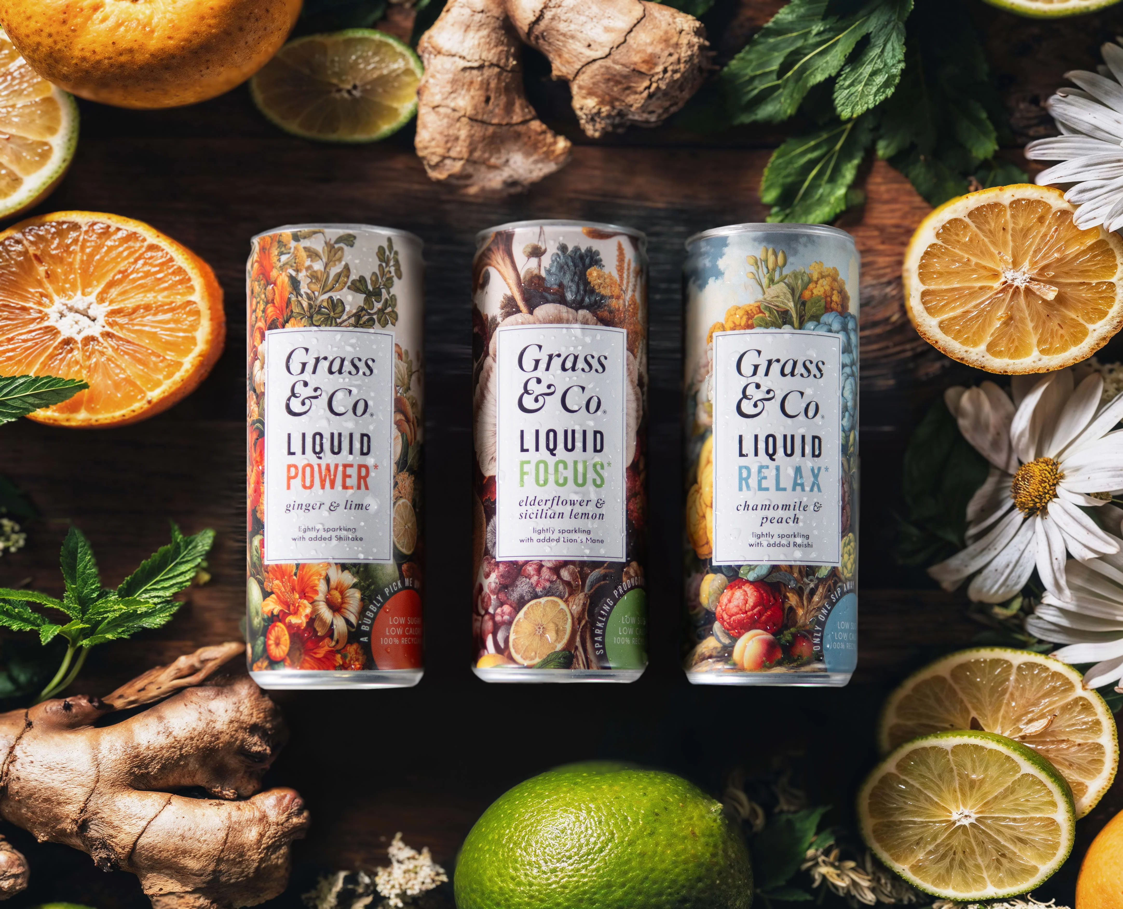 Liquid Power Ginger, Lime & Shiitake Nootropic Drink 250ml - Image 6