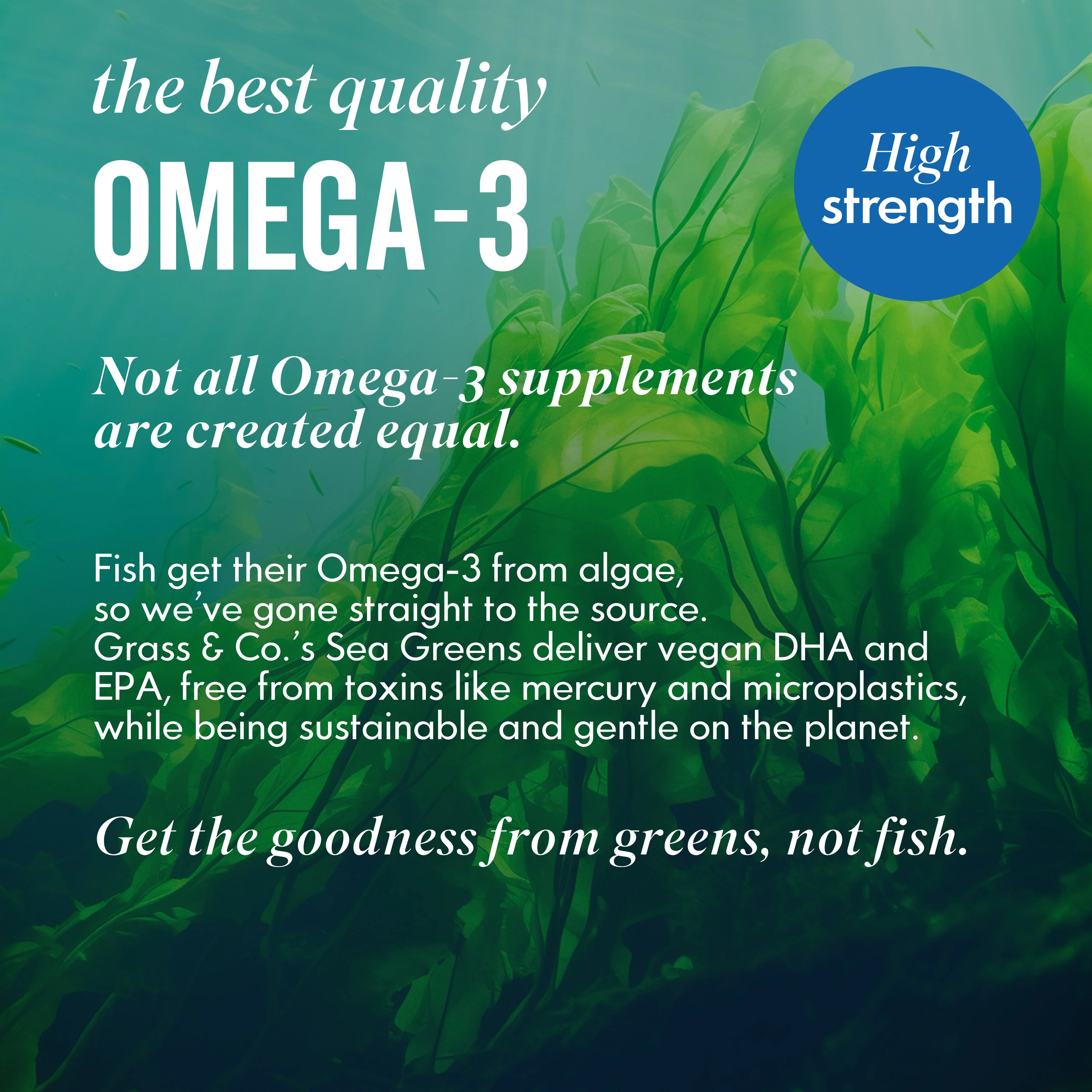 Prime Vegan Omega Sea Greens Capsules For Women 30 Capsule - Image 10