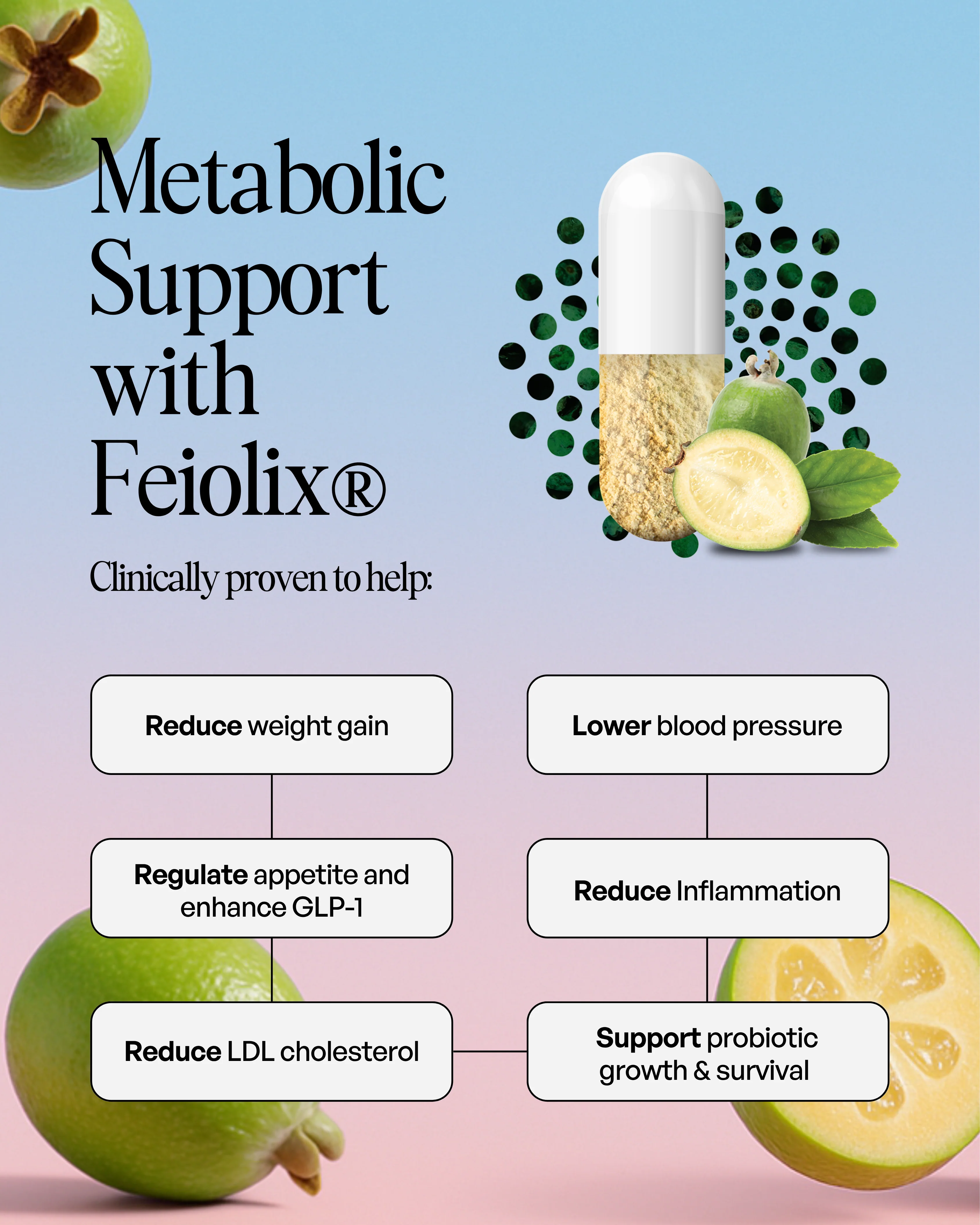 Daily Gut 150g - Image 9