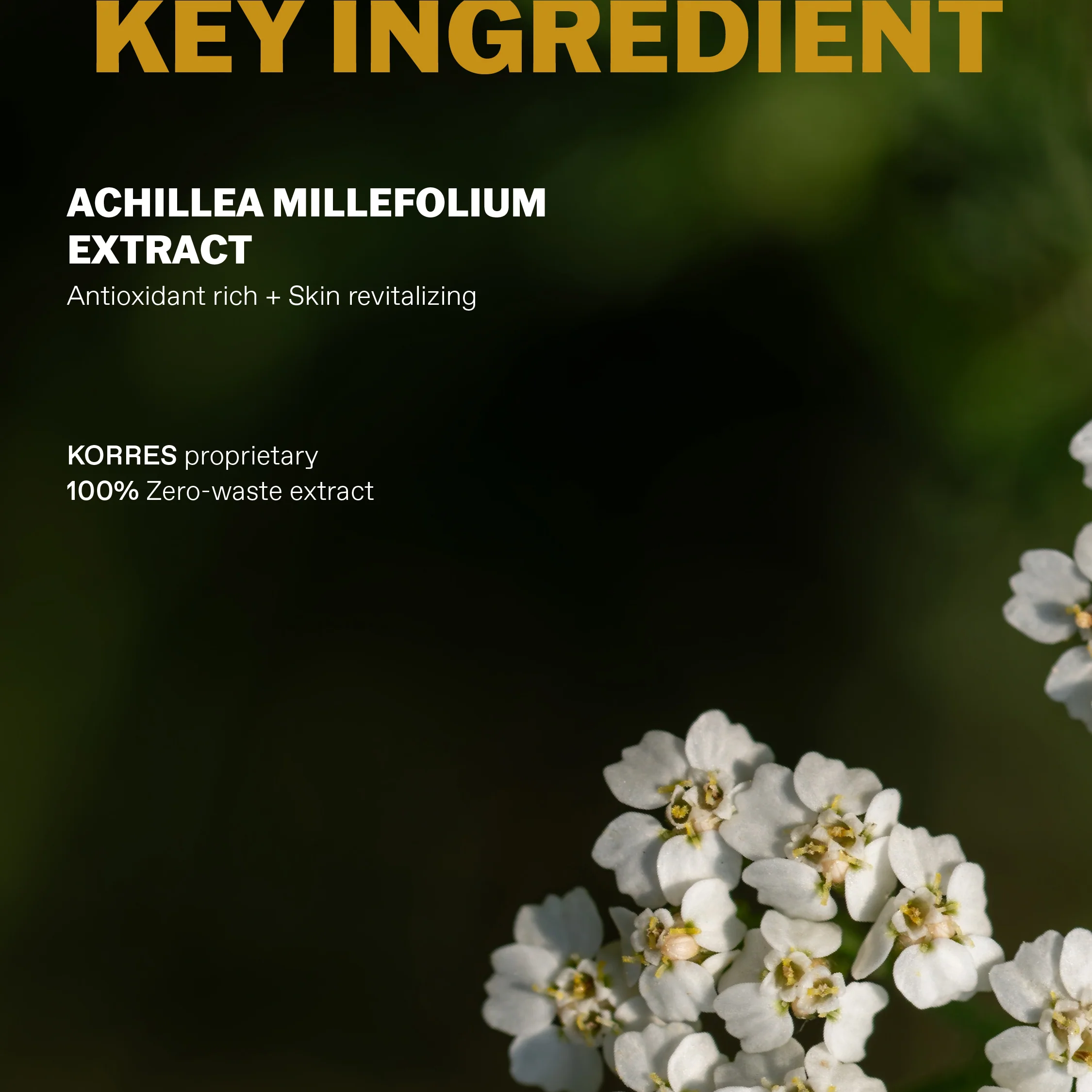 Achillea Mens Face Cleanser 250ml - Image 4