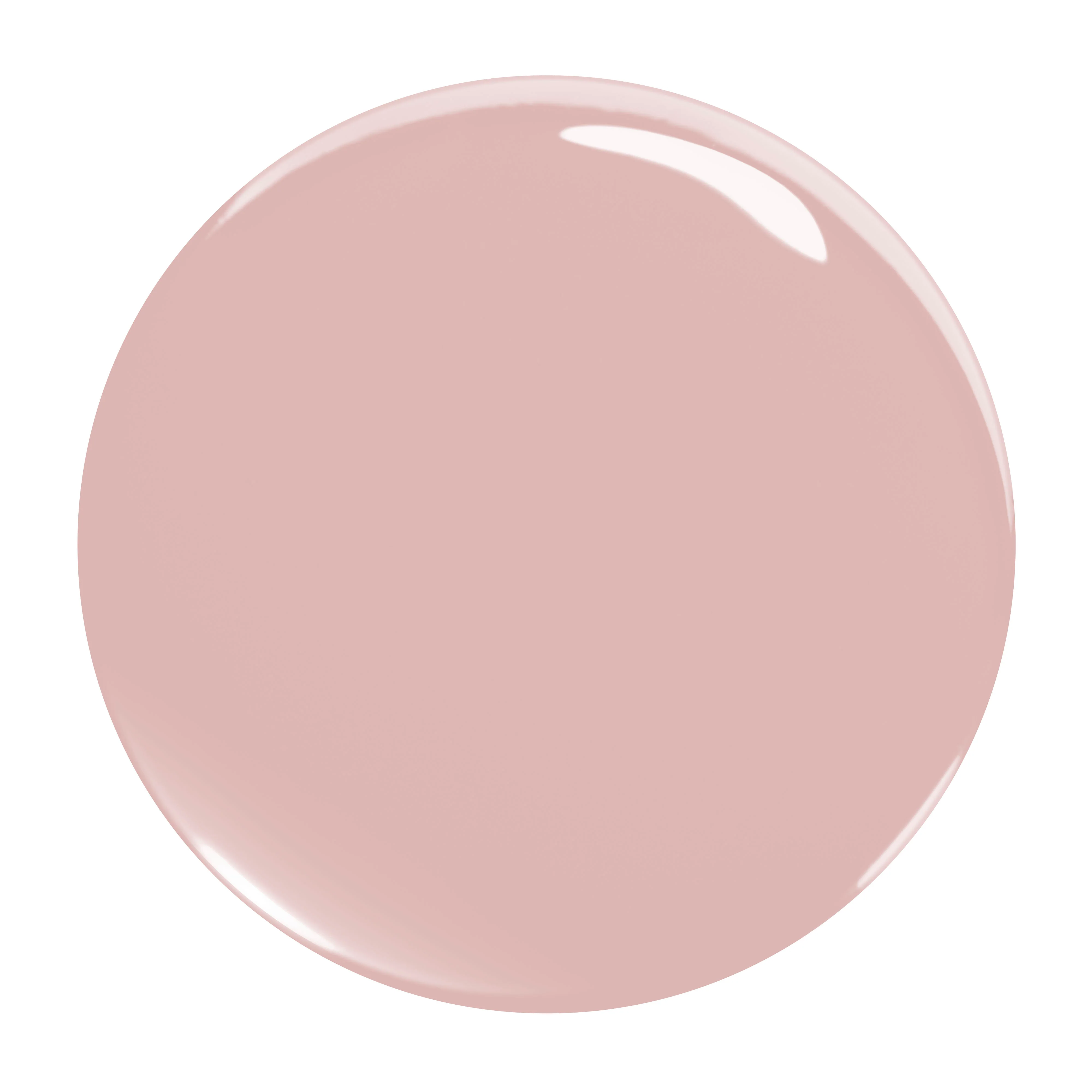 928 Undaria 10ml - Image 2