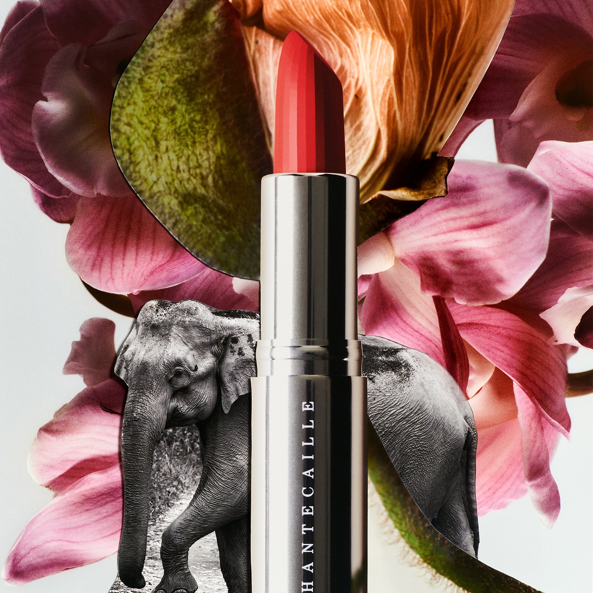 Lip Creme Banyan Tree 3g - Image 5