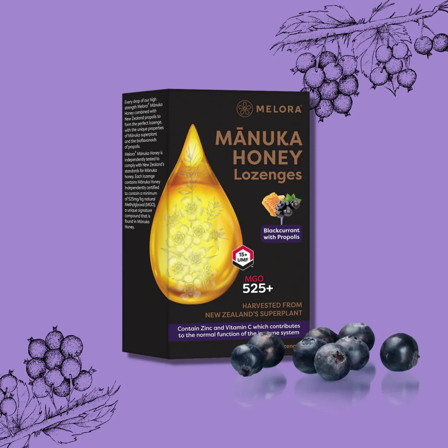 Manuka Honey & Propolis Lozenges Blackcurrant 12 Lozenges - Image 3