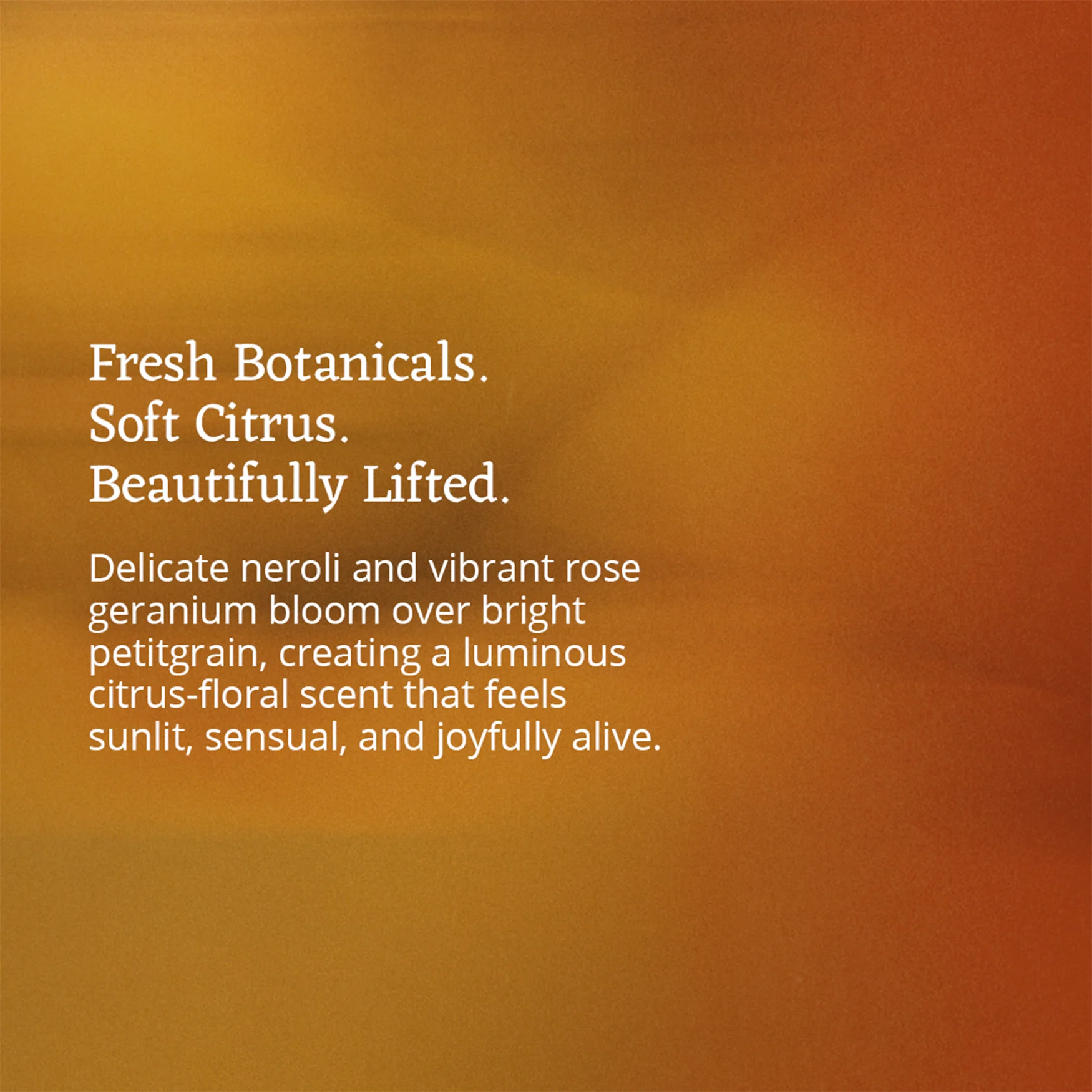 Euphoric Moodmist 100ml - Image 5