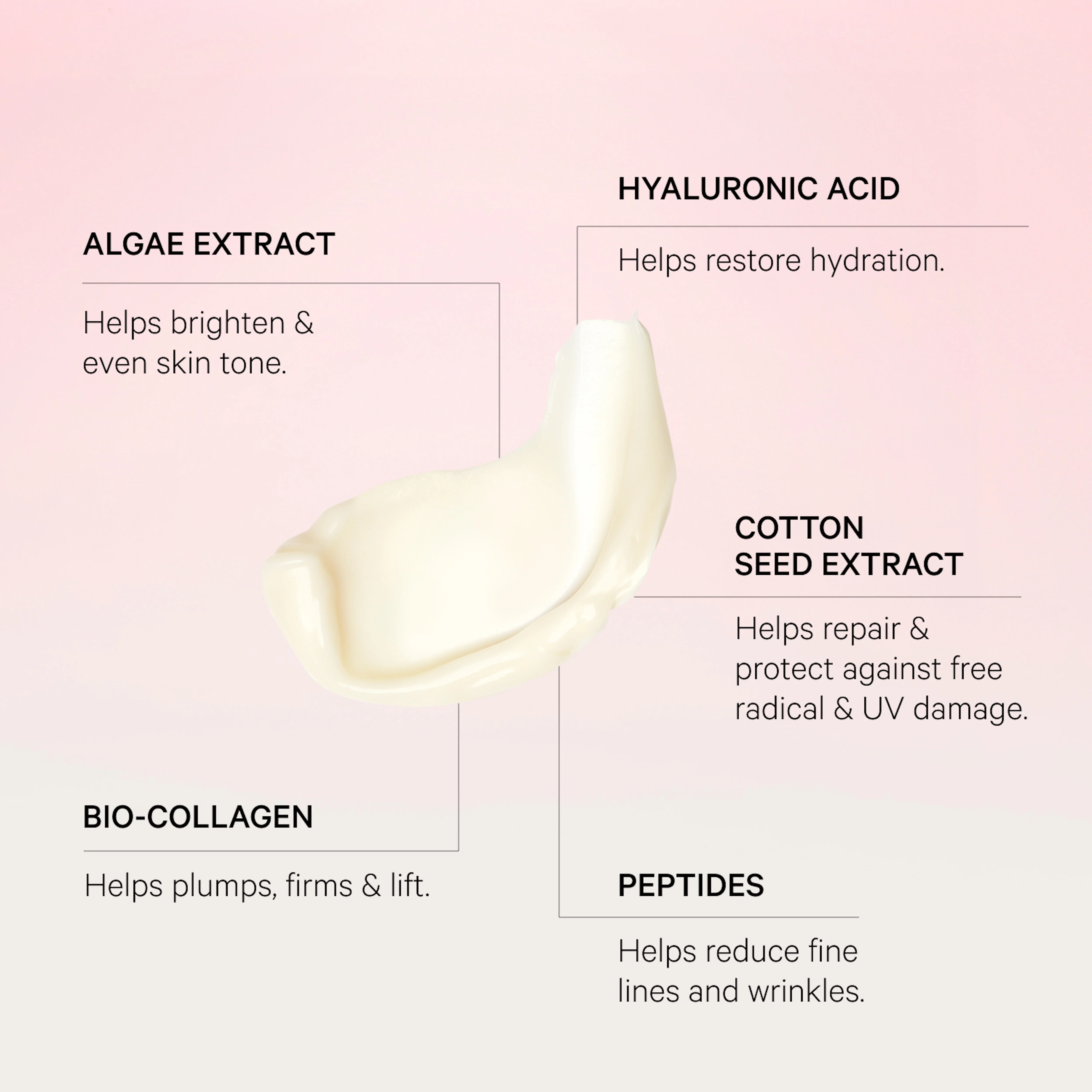 The Light Moisturiser 50ml - Image 5