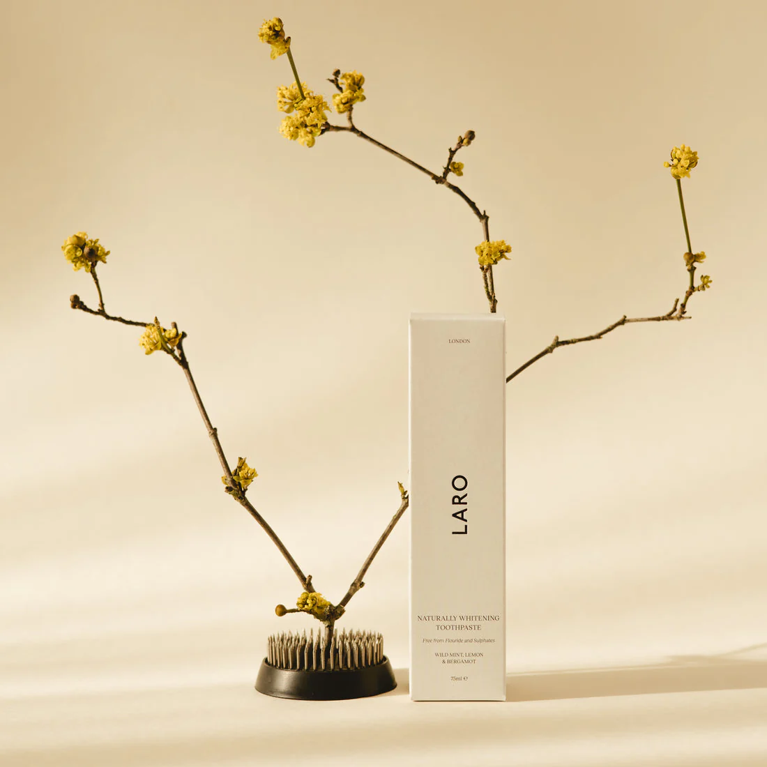 Naturally Whitening Toothpaste 75ml - Image 2