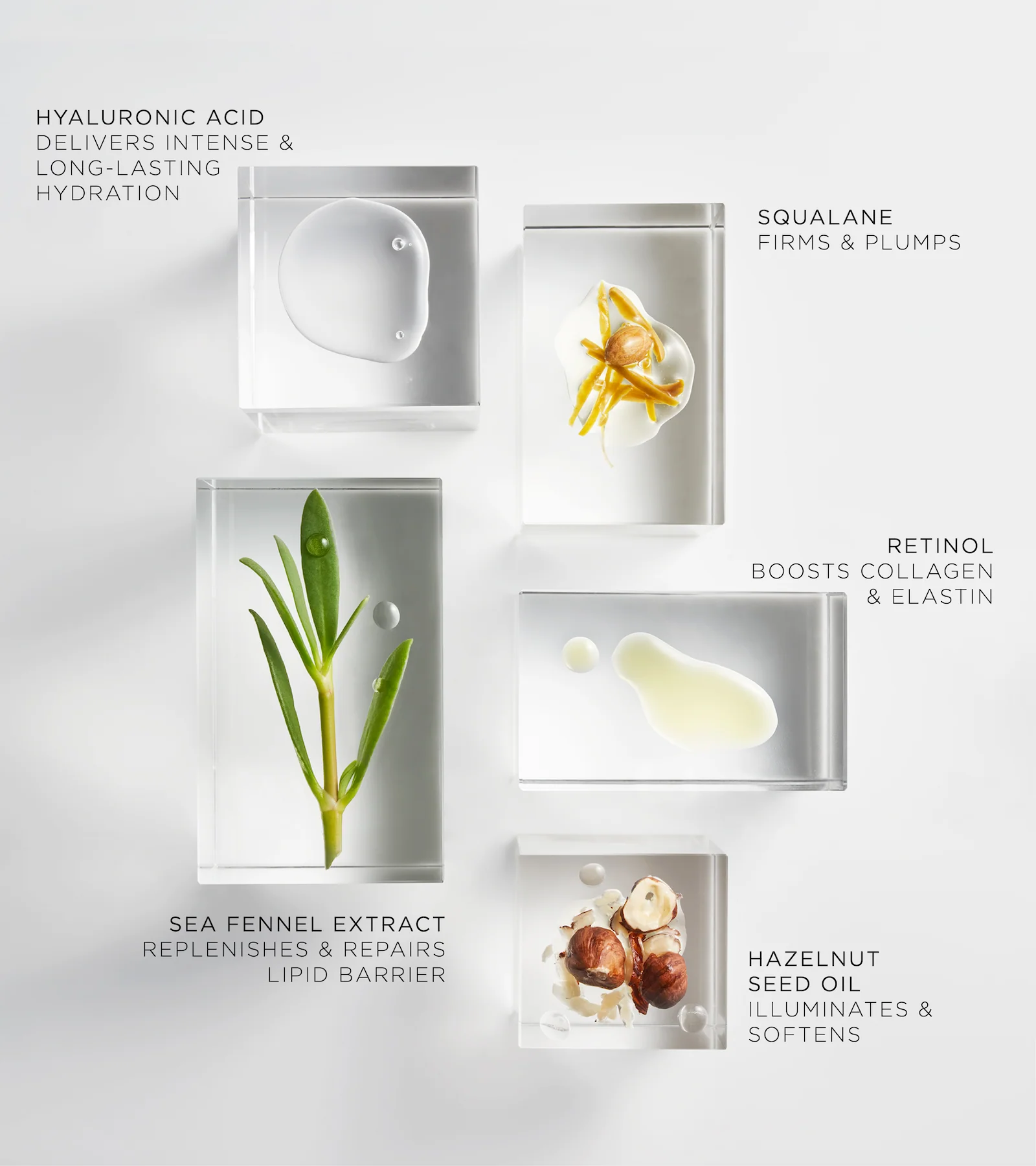 The Absolute Nourishing Lift Oil 30 Doses - Image 3