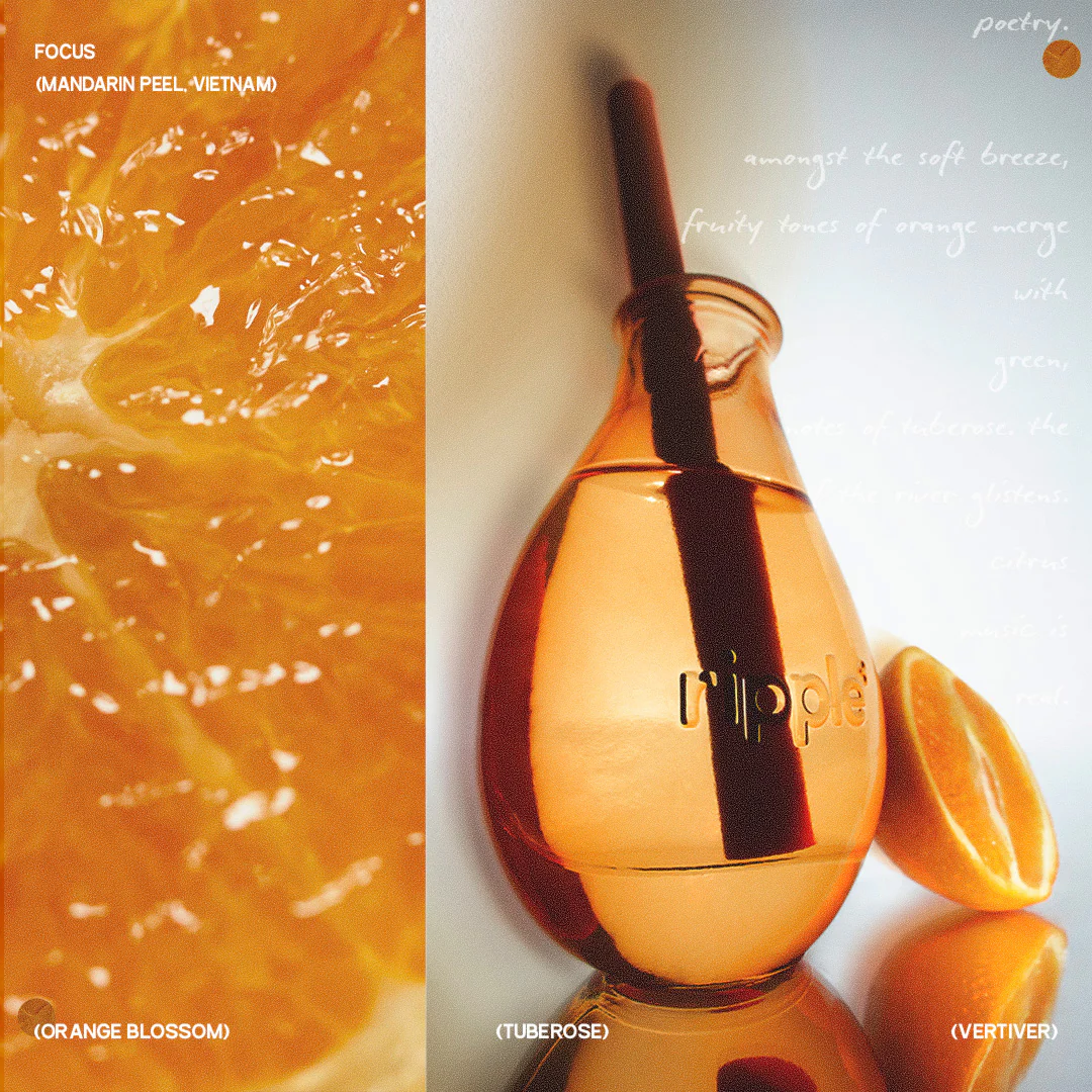 Focus - Reed Diffuser 800g - Image 6