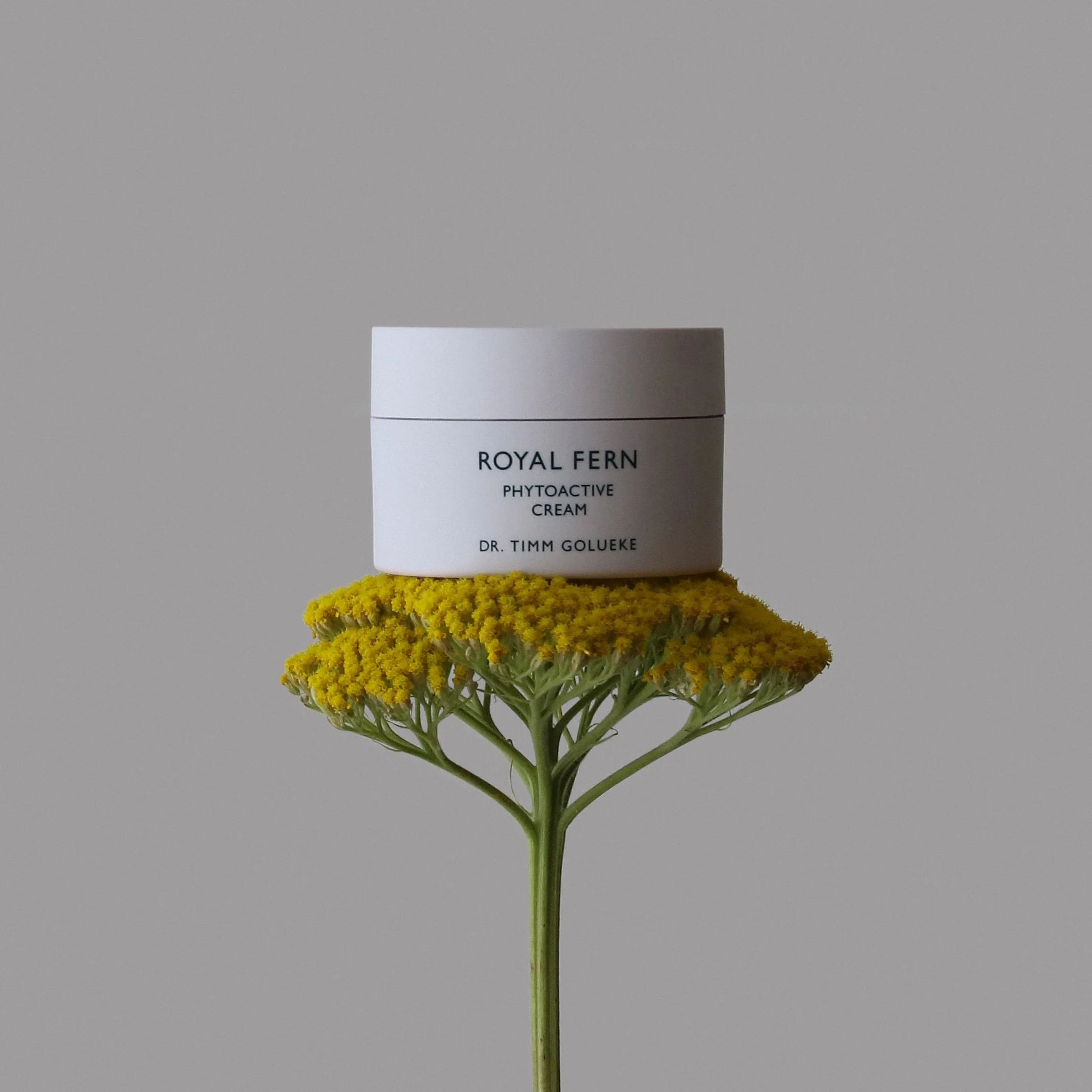Phytoactive Cream 50ml - Image 2