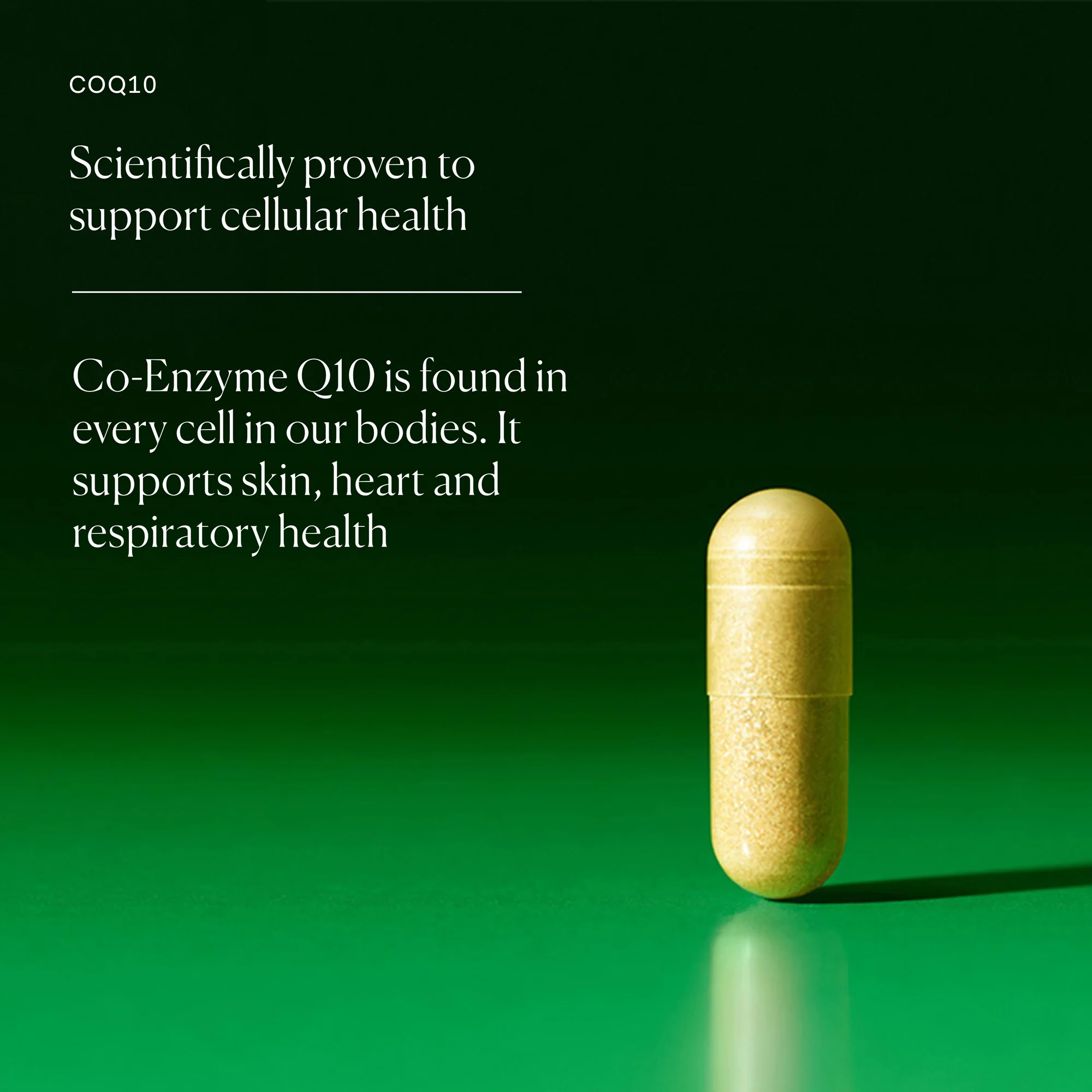 Coq10 30 Capsules - Image 3