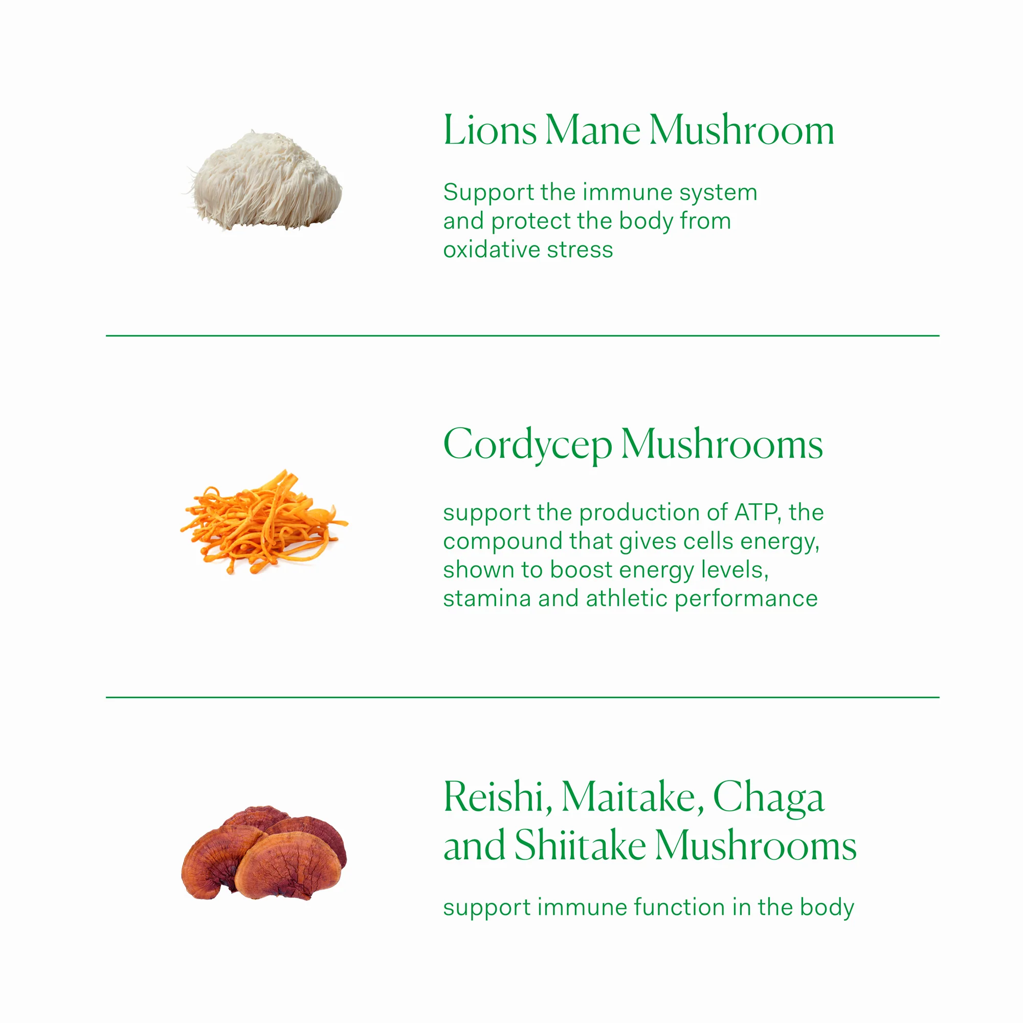 Mushrooms 60 tablets - Image 5