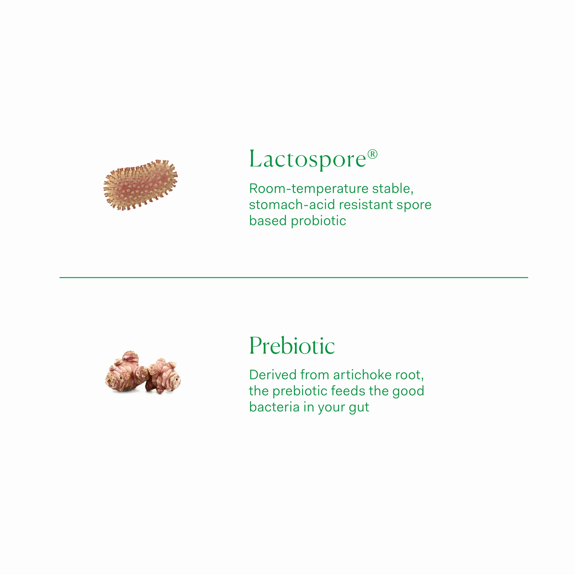 Prebiotic + Probiotic 60 capsules - Image 4