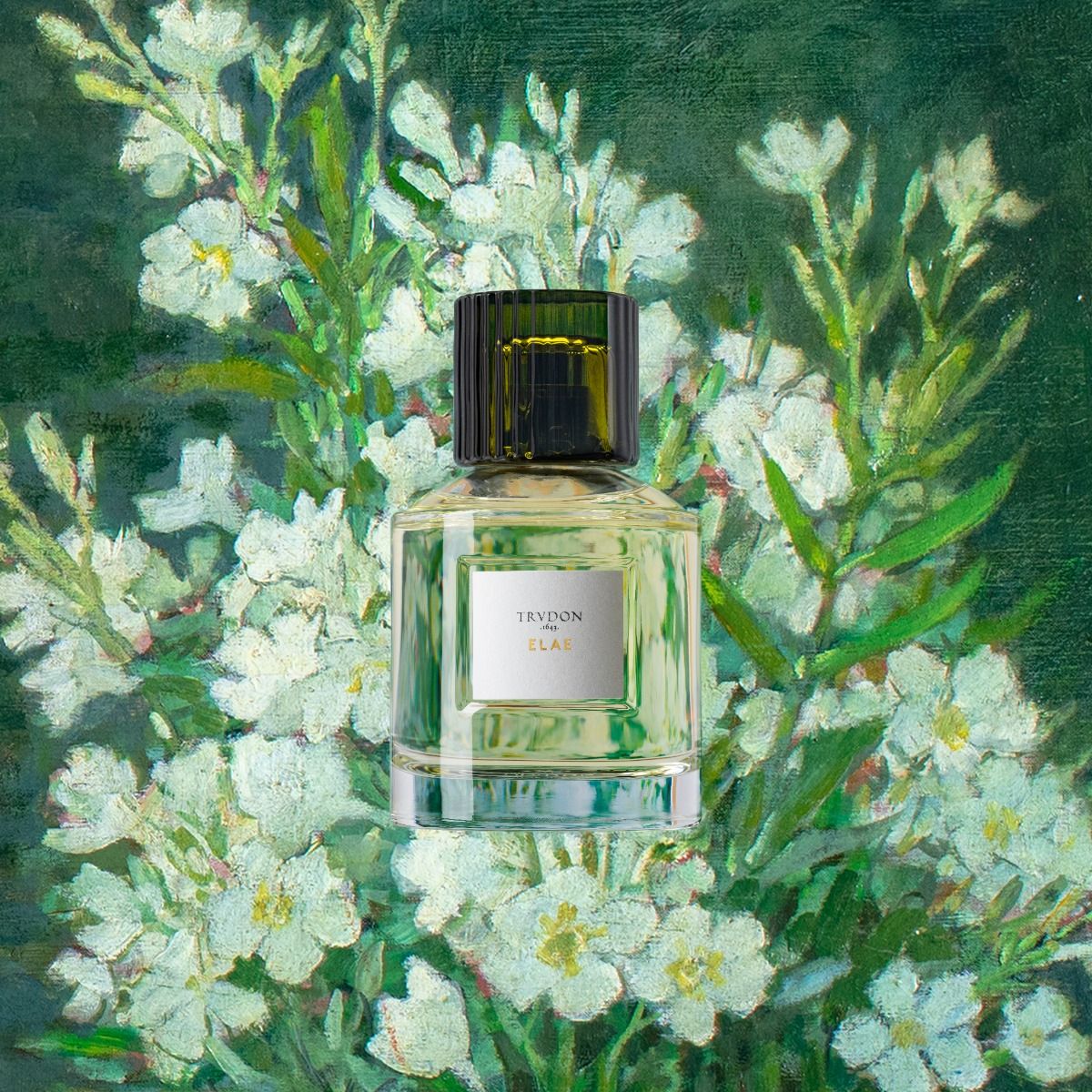 Elae Eau De Parfum 100ml - Image 3