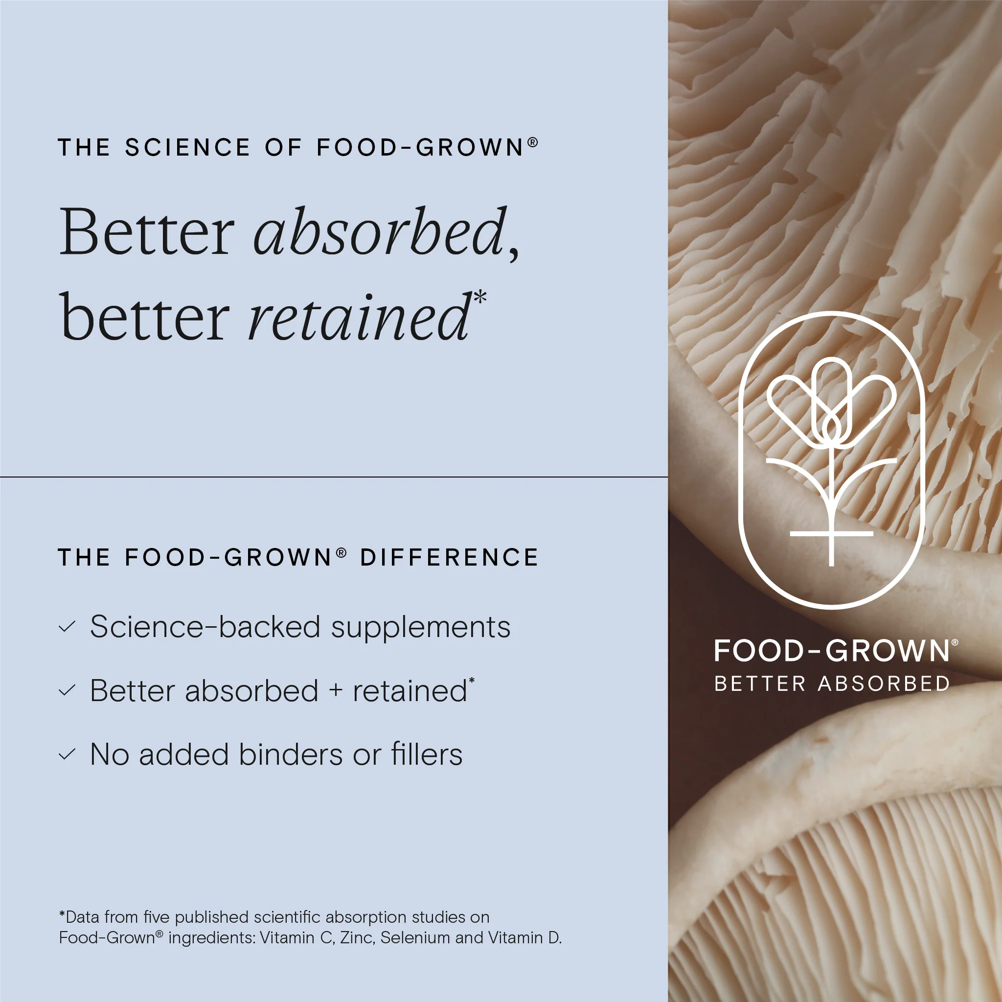 Food-Grown® Daily Multi Nutrient for Teen Boys 60 Capsules - Image 3