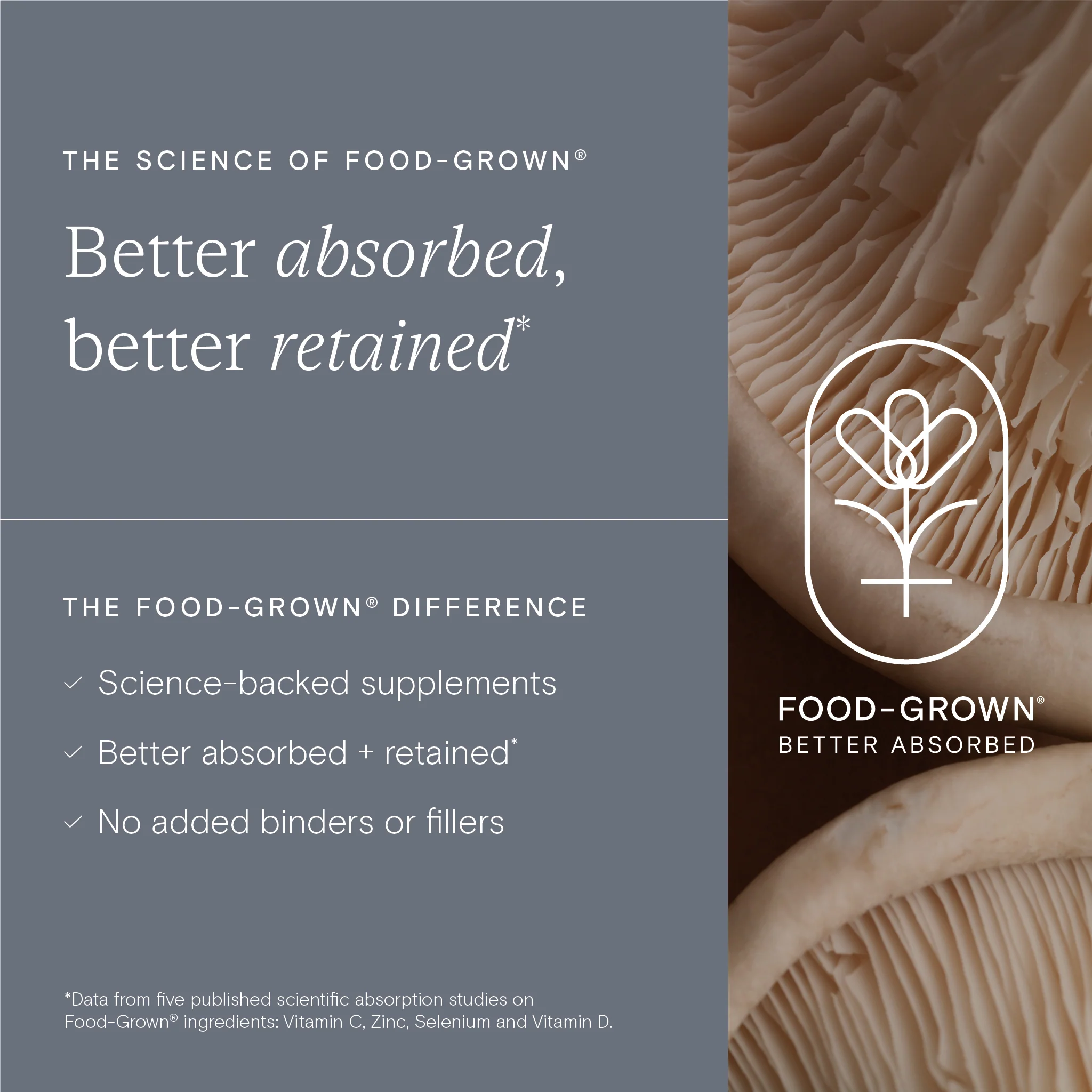 Food-Grown® Fertility Support for Men 60 Capsules - Image 5