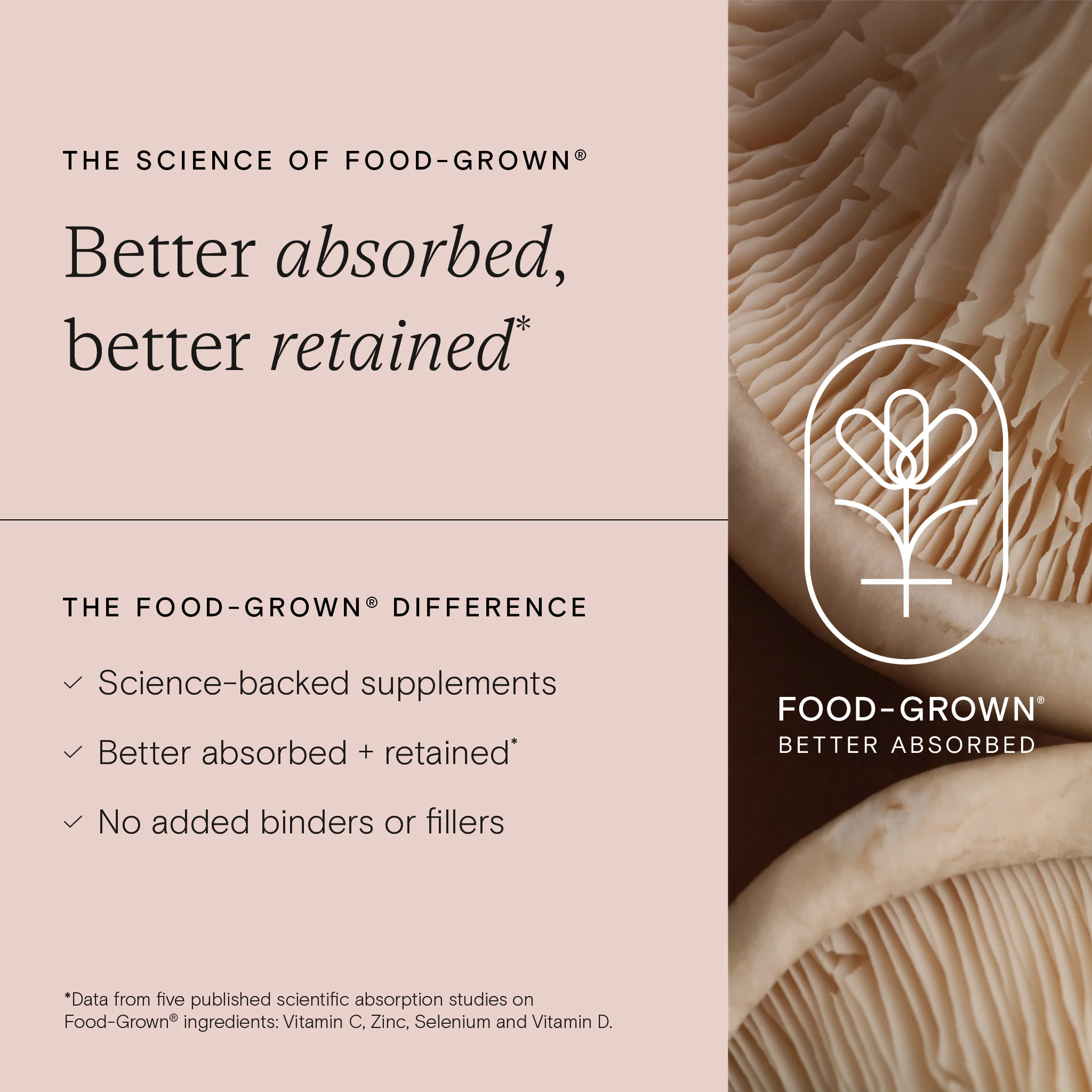 Food-Grown® Pregnancy + New Mother Multi 90 Capsules - Image 5
